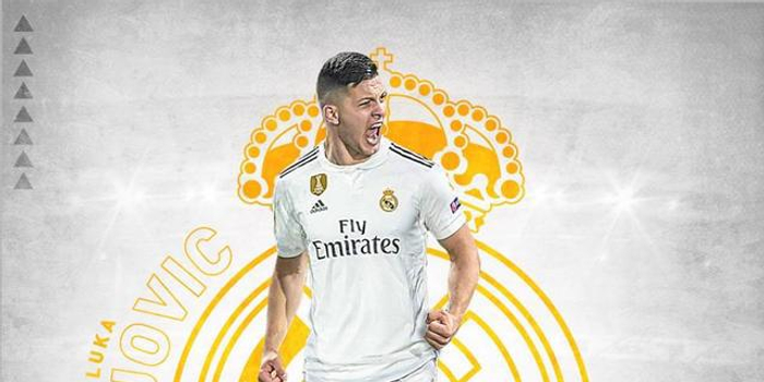 秩序与观赛 秩序与观赛